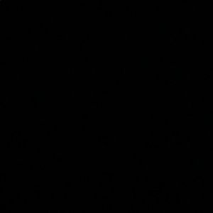 Meet your Posher, Bobby